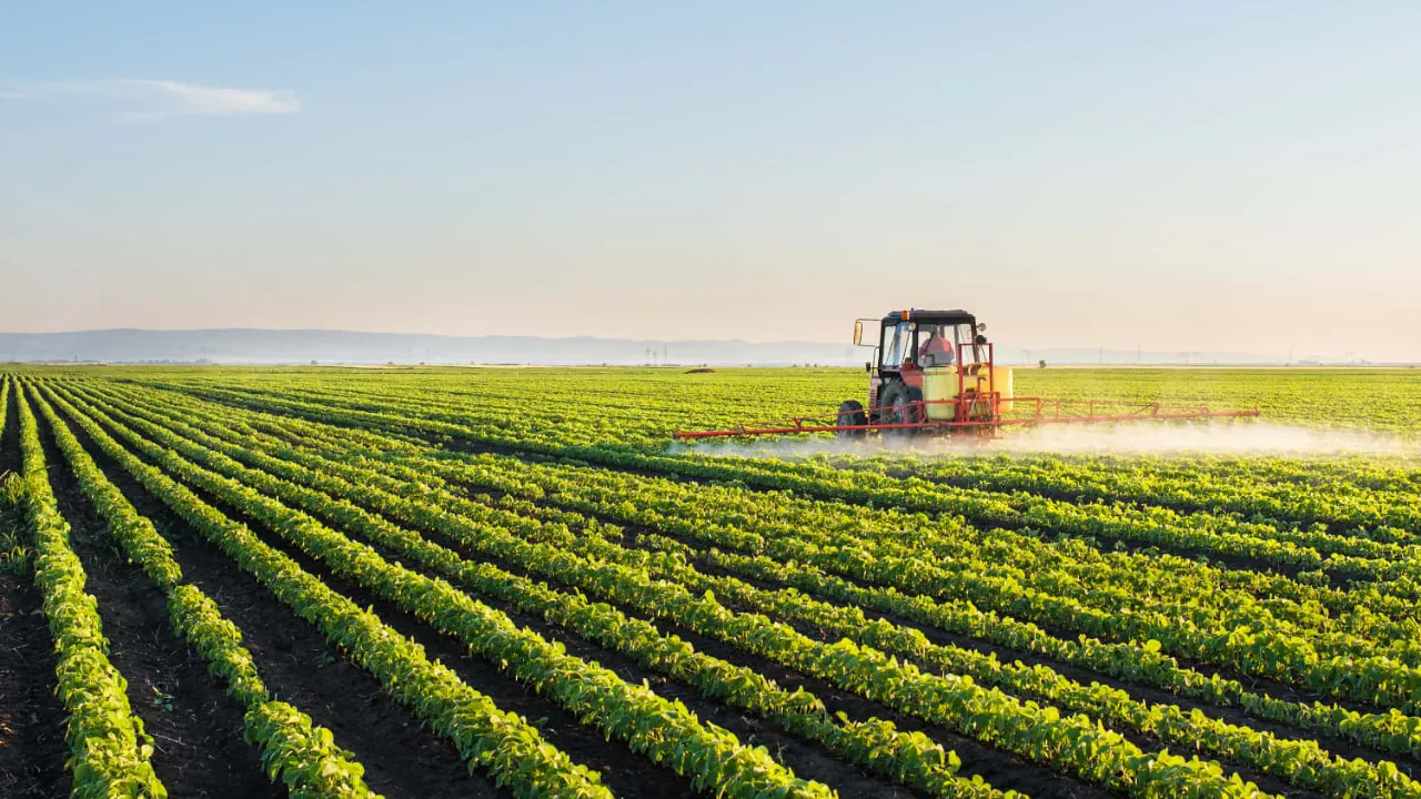 Biçer Bağlar Makinası